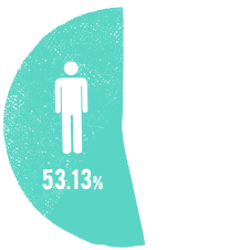 男性:53.13%