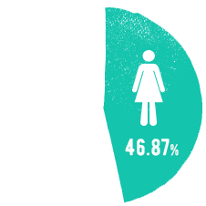 女性:46.87%
